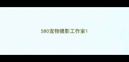 580宠物摄影工作室