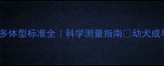 拉布拉多体型标准全科学测量指南幼犬成年犬通用