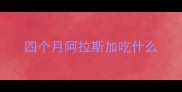 四个月阿拉斯加吃什么