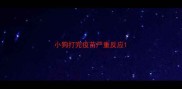 小狗打完疫苗严重反应