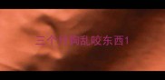 三个月狗乱咬东西