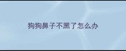 狗狗鼻子不黑了怎么办