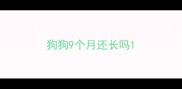 狗狗9个月还长吗