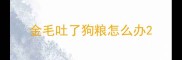 金毛吐了狗粮怎么办