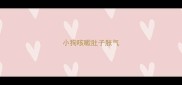 小狗咳嗽肚子胀气