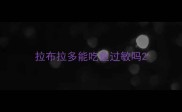 拉布拉多能吃鱼过敏吗