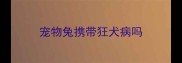 宠物兔携带狂犬病吗
