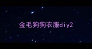 金毛狗狗衣服diy