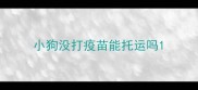 小狗没打疫苗能托运吗