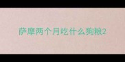 萨摩两个月吃什么狗粮