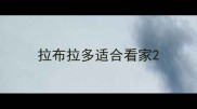 拉布拉多适合看家