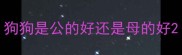 狗狗是公的好还是母的好