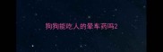 狗狗能吃人的晕车药吗