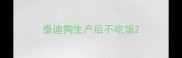 泰迪狗生产后不吃饭
