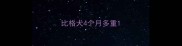 比格犬4个月多重