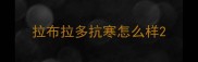 拉布拉多抗寒怎么样