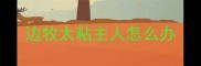 边牧太粘主人怎么办