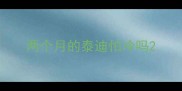 两个月的泰迪怕冷吗