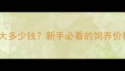 英国牛犬两个月大多少钱新手必看的饲养价格与注意事项全