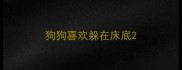 狗狗喜欢躲在床底