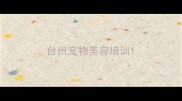 台州宠物美容培训