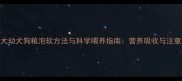 三个月大幼犬狗粮泡软方法与科学喂养指南营养吸收与注意事项全