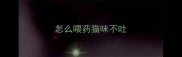 怎么喂药猫咪不吐