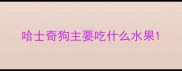 哈士奇狗主要吃什么水果