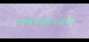 小狗被车撞怎么处理