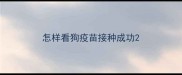 怎样看狗疫苗接种成功