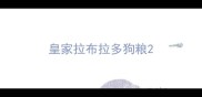 皇家拉布拉多狗粮