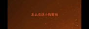 怎么安抚小狗害怕