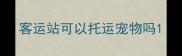 客运站可以托运宠物吗
