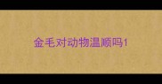 金毛对动物温顺吗
