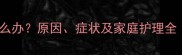 拉布拉多腹部鼓包怎么办原因症状及家庭护理全附专业兽医建议
