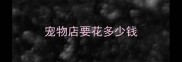 宠物店要花多少钱
