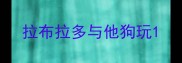 拉布拉多与他狗玩