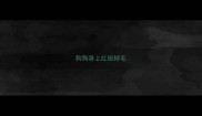 狗狗身上红斑掉毛