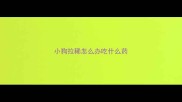 小狗拉稀怎么办吃什么药