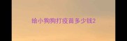 给小狗狗打疫苗多少钱