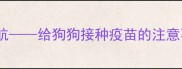科学接种健康护航给狗狗接种疫苗的注意事项与全流程指南
