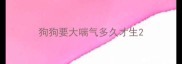 狗狗要大喘气多久才生