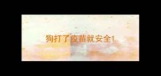 狗打了疫苗就安全