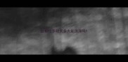 拉布拉多幼犬多大能洗澡吗
