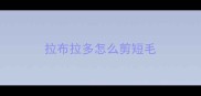 拉布拉多怎么剪短毛