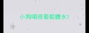 小狗喝很葡萄糖水