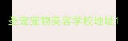 圣宠宠物美容学校地址