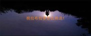 挑拉布拉多怎么挑选