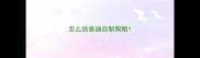 怎么给泰迪自制狗粮