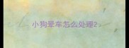 小狗晕车怎么处理